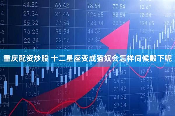 重庆配资炒股 十二星座变成猫奴会怎样伺候殿下呢