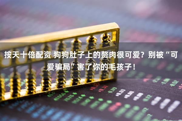 按天十倍配资 狗狗肚子上的赘肉很可爱？别被“可爱骗局”害了你的毛孩子！